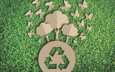Paoletti Ecologia, quando “Green” diventa business.