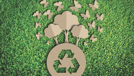 Paoletti Ecologia, quando “Green” diventa business.